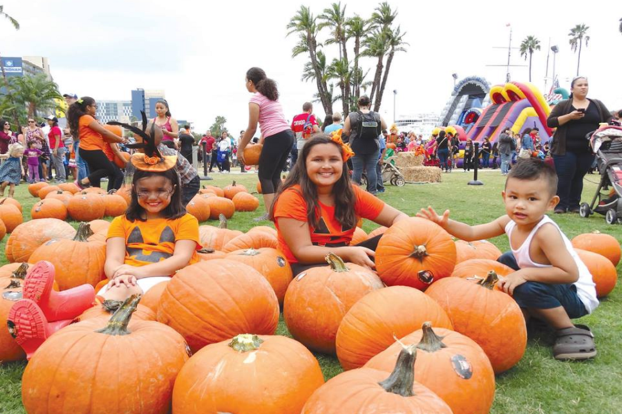 waterfront park pumpkin patch